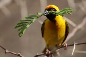 死亡診断書の取得にかかる費用はどのくらいですか？