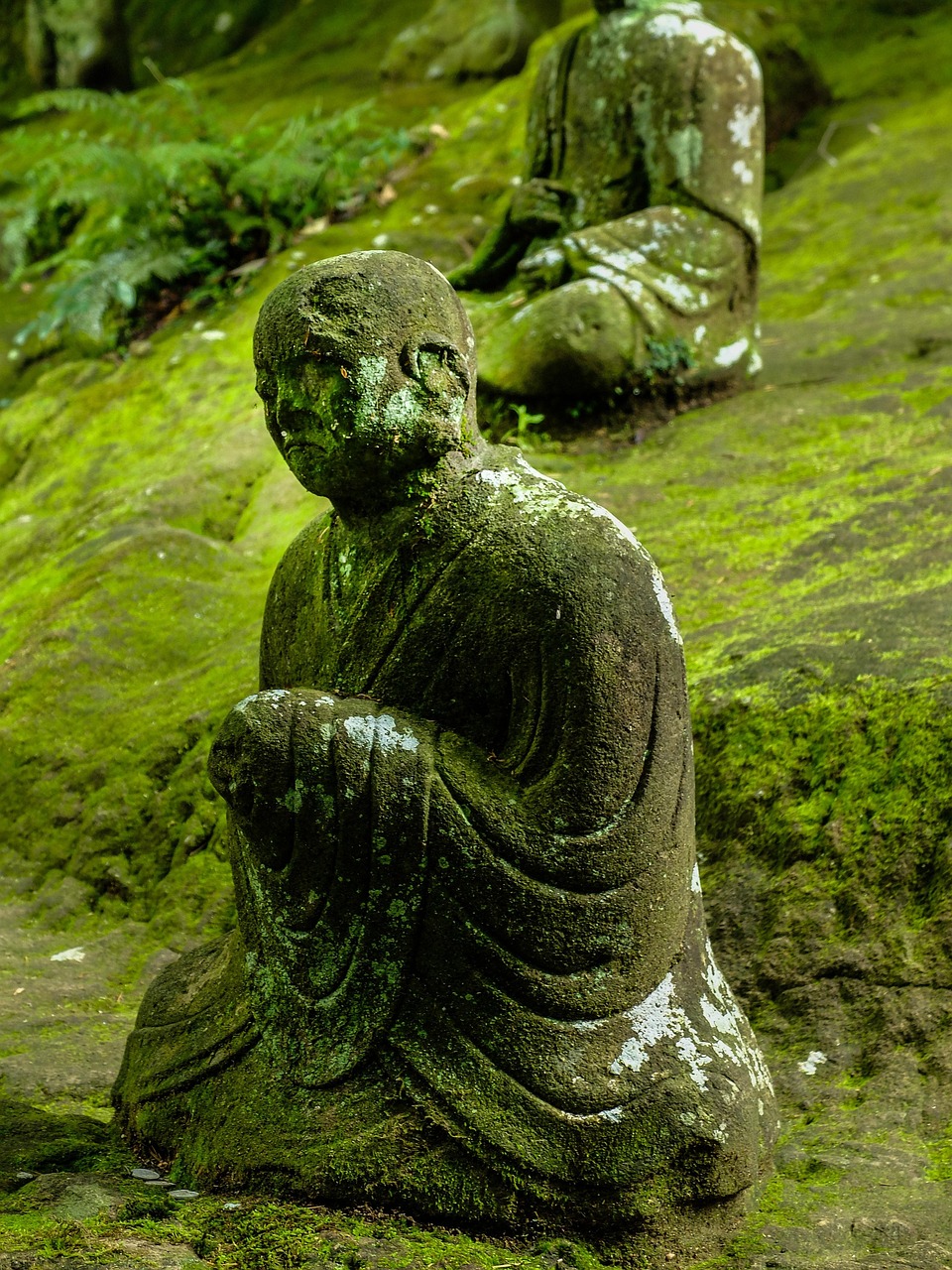 仏衣の意味とその歴史について知りたいことは？