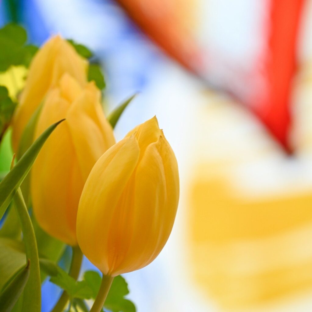 白木祭壇のデメリットとは何か知っておくべきことは？