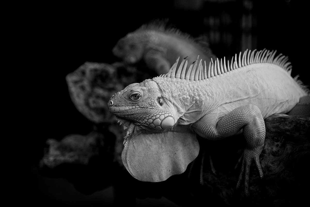 心付けは葬儀スタッフに対して不要なのか？