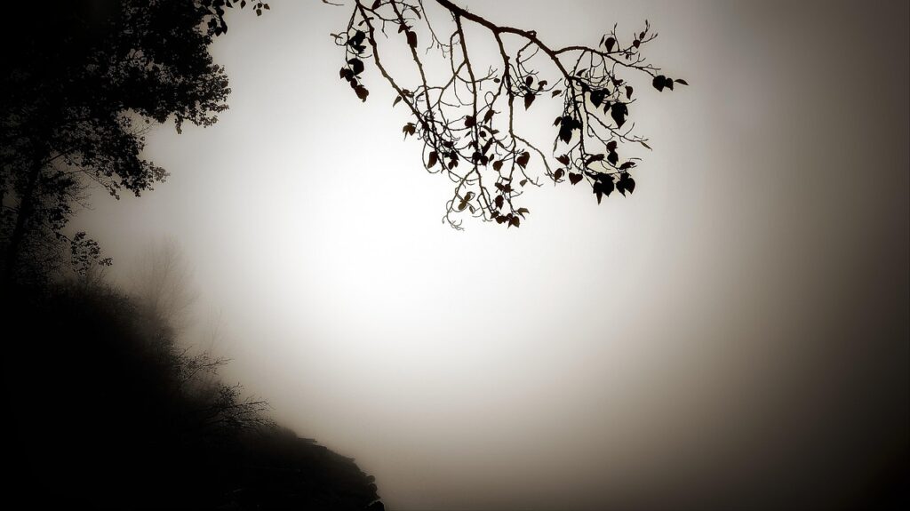 家族葬の葬儀見積もり内訳がわからない時の対処法は？